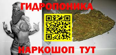 прущие крисы Канаш