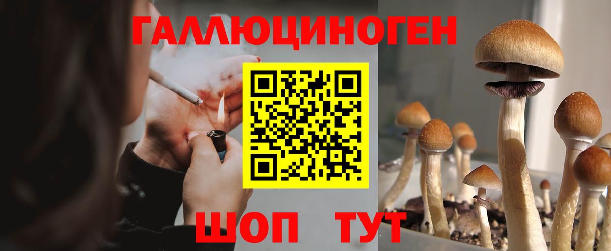 Псилоцибиновые грибы GOLDEN TEACHER  Псилоцибиновые грибы мухоморы  Вход с VPN  Кизляр 
